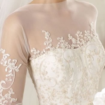 Sheer illusion neckline and sleeves with lace